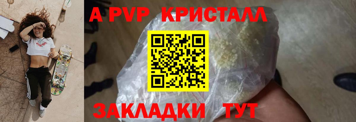 A PVP СК КРИС Воронеж